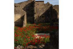 pompei3